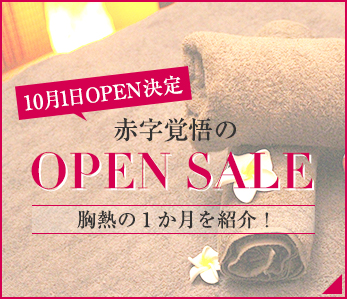 10月1日OPEN決定赤字垂れ流し覚悟のOPEN SALE胸熱の1か月を紹介！